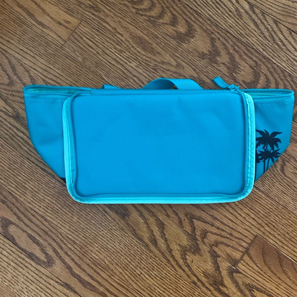 Trader Joe’s Mini cooler bag. Turquoise. Brand New with tags.